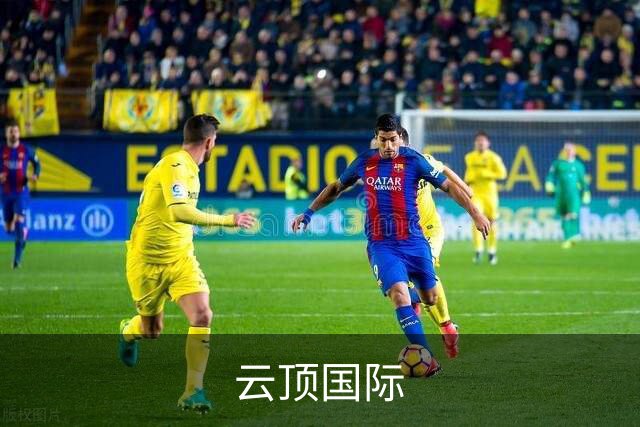 云顶国际公司简介图